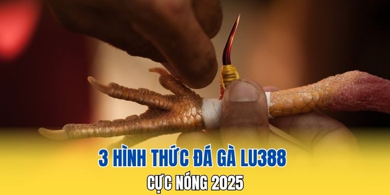 3 hình thức đá gà LU388 cực nóng 2025
