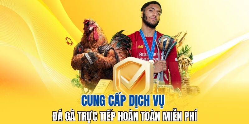 Cung cấp dịch vụ đá gà trực tiếp hoàn toàn miễn phí