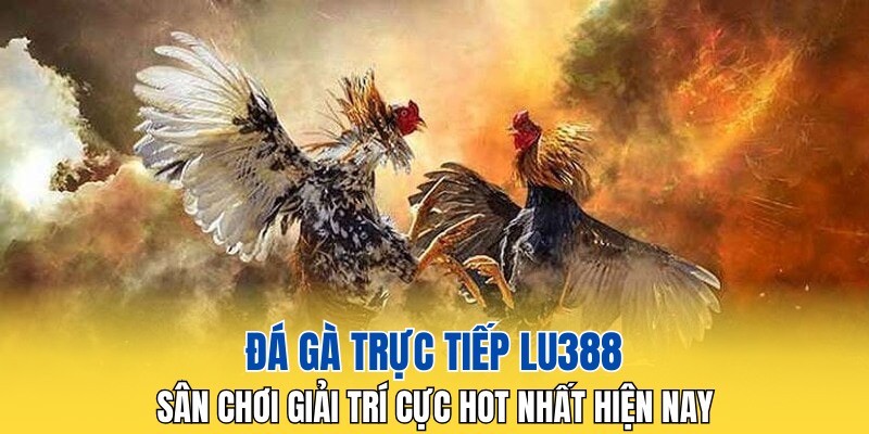 Đá gà trực tiếp LU388 là sân chơi giải trí cực hot nhất hiện nay