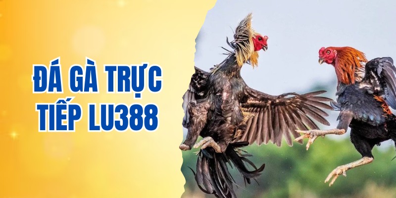 Đá gà trực tiếp LU388