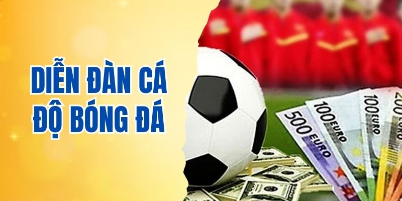 Diễn đàn cá độ bóng đá