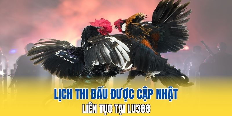 Lịch thi đấu liên tục tại nhà cái