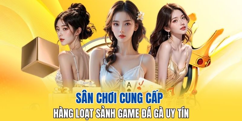 Sân chơi cung cấp hàng loạt sảnh game đá gà uy tín
