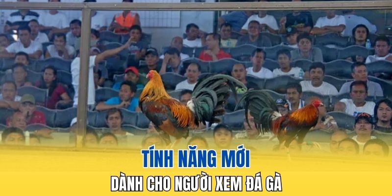 Tính năng mới mẻ trên nền tảng xem đá gà